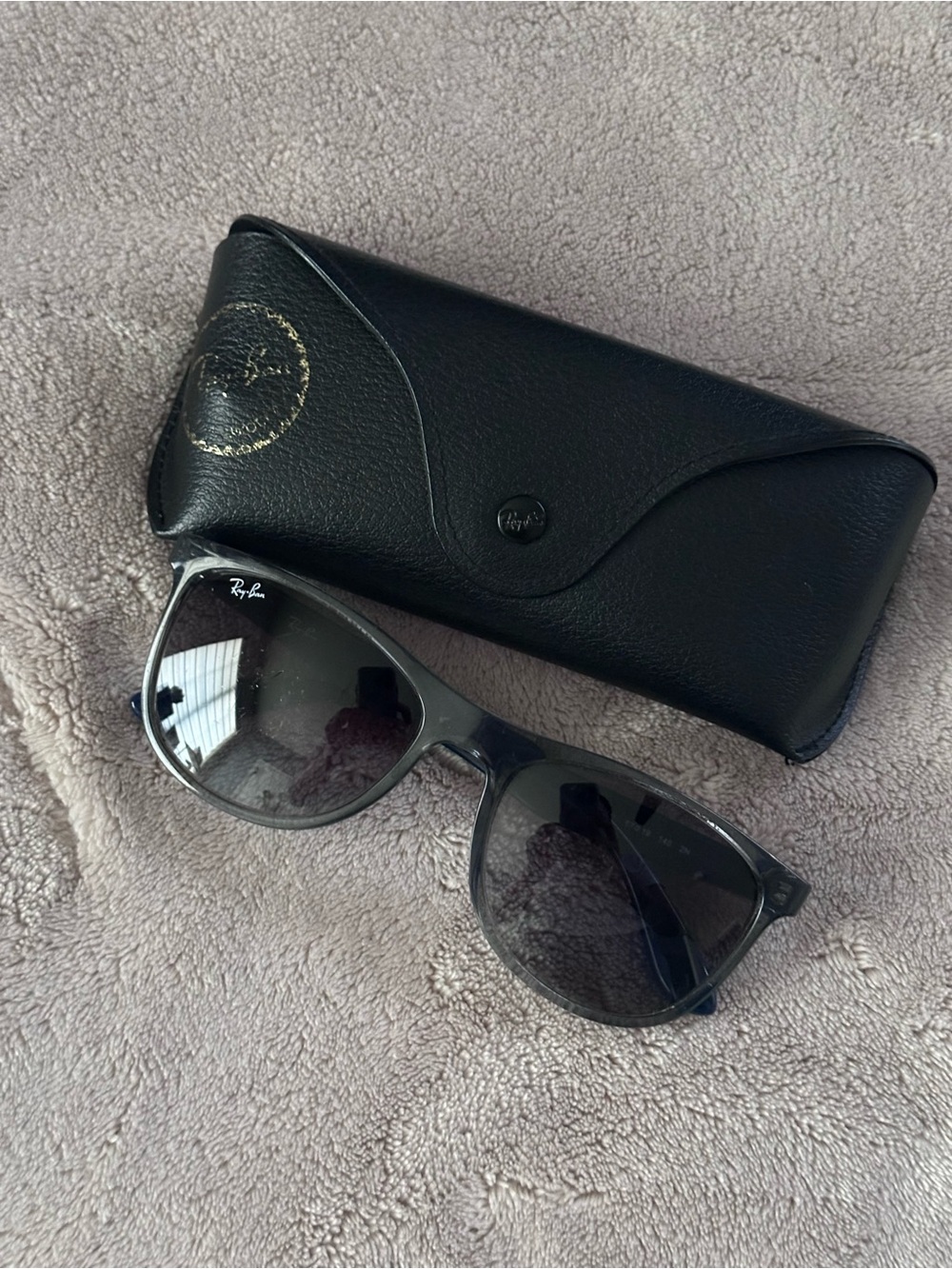 Ray-Ban Black Sunglasses with Black Case